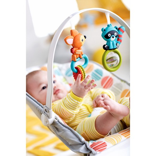 Fisher-Price Comfort Curve Bouncer (South Africa)